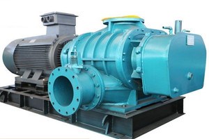 1634539384850999.jpg 1634539384850999.jpg